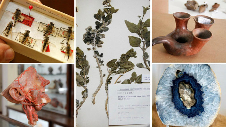 Revive la inauguración de la Exposición «Colecciones Científicas MUDEC» que incluyó la participación de Antropología